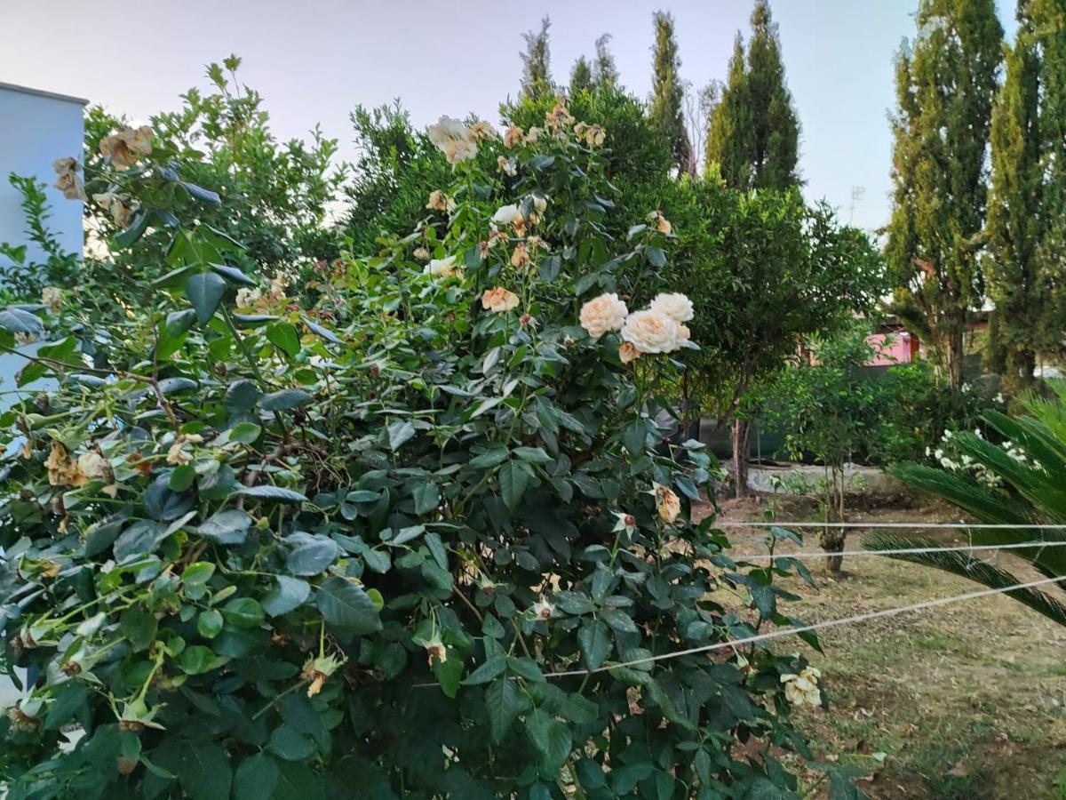 Filoxenia Di Umberto Sassari Exterior foto