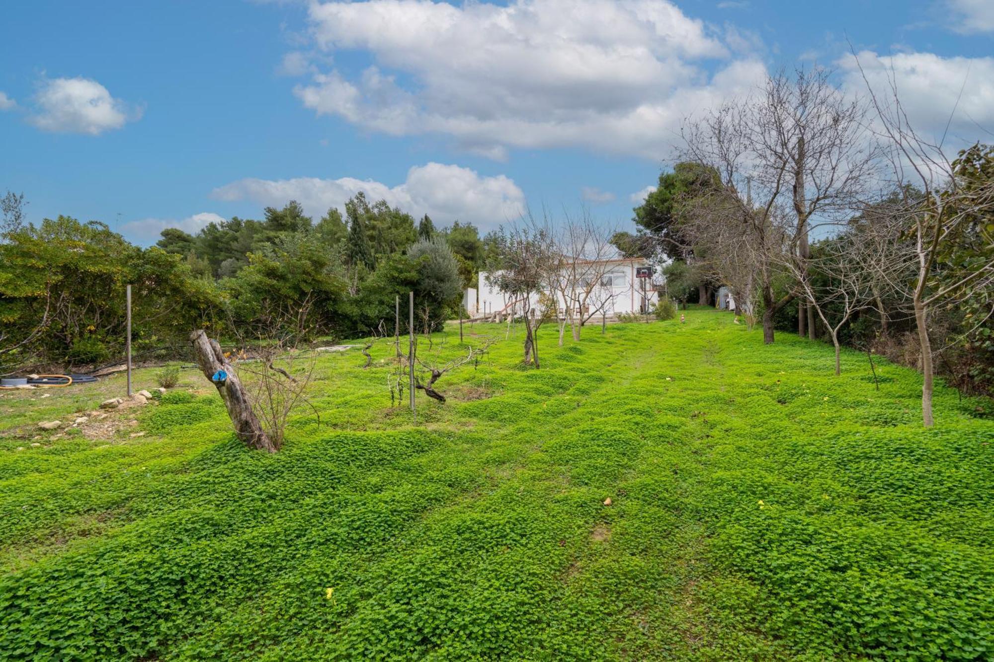Filoxenia Di Umberto Sassari Exterior foto